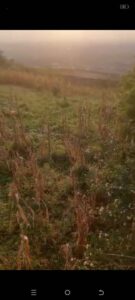 Marked land boundaries of plots for sale at Kokrobite Hilltop Accra Ghana.